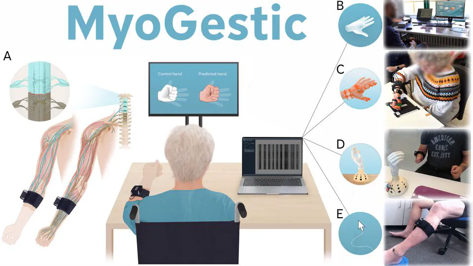MyoGestic - Open-Source, Adaptive EMG Interface for Restoring Motor Function in Individuals with Neural Lesions