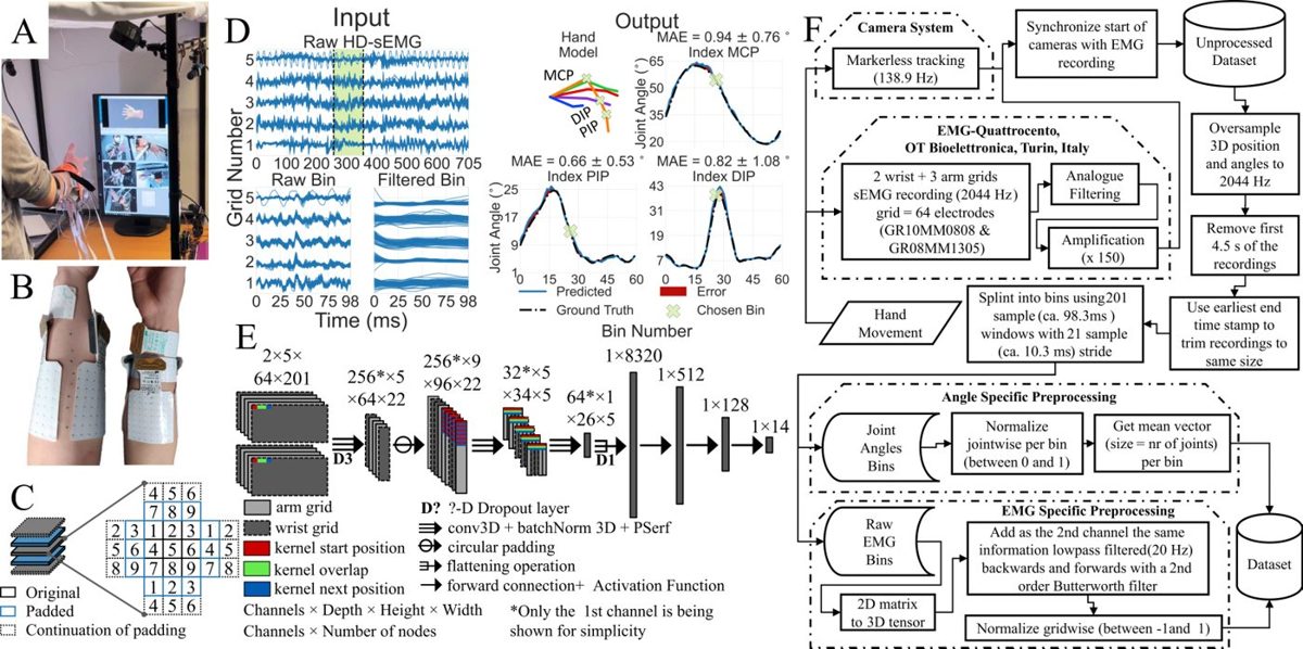Camera setup, raw HD-sEMG, the 3D convolutional network and predicted joint angles